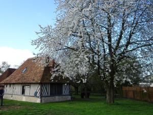 Maisons de vacances Gite Falafa Normand : photos des chambres