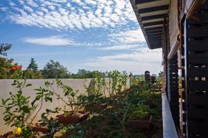 Globetrotter Inn - Palawan Inc.