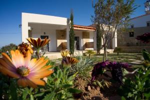Agarathos Rooms with Pool - Kaliviani -On the road to Balos