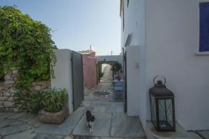 Guest House Pitsinades Kythira Greece