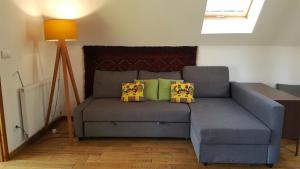 Apartament Kurnik