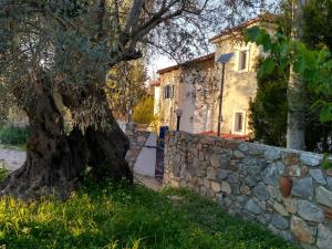 9 Musses Hotel Apartments Lesvos Greece