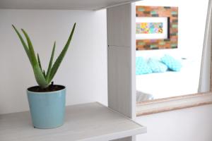 Anacapri Suite - 4th Floor Penthouse Beach Front