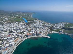 Prasino Oniro Tinos Greece