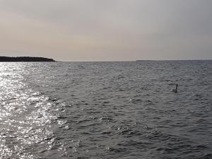 Ferienwohnung Bergholz