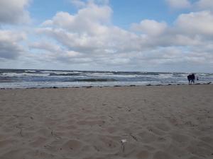 Ferienwohnung Bergholz