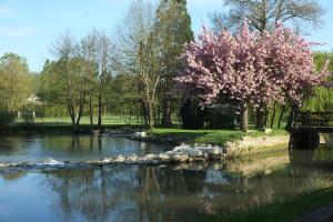 B&B / Chambres d'hotes Moulin De Bacchus : photos des chambres