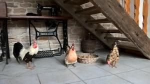 B&B / Chambres d'hotes La ferme du Grand Faubourg : photos des chambres