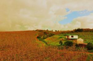 Sanctum Cottages, Agriturismi - Grabouw