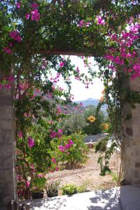 Villa Patmos Netia Patmos Greece