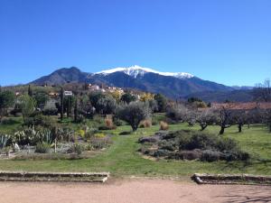 B&B / Chambres d'hotes Castell Rose : photos des chambres