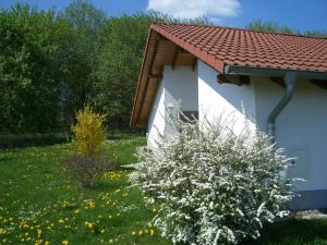 Bungalow im Feriendorf Uslar mit Gartenterrasse