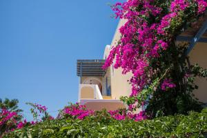 Asterias Mini Coastal Apartments