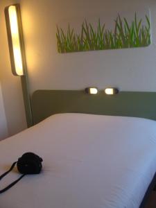Hotels ibis Budget Thiers : photos des chambres