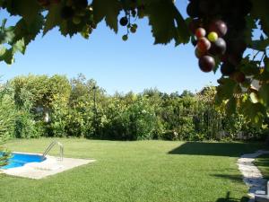 Maisons de vacances Colourful Holiday Home in Noves with Swimming Pool : photos des chambres