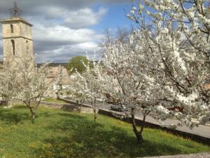 Maisons de vacances Rustic villa with pool in Cereste France : photos des chambres