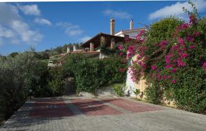 Agia Kali Villas Skiathos Greece