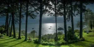 Lost Whale Inn - Patricks Point