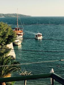 Hotel Papagalos Halkidiki Greece