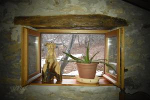 Ca-Jo Bed and Breakfast