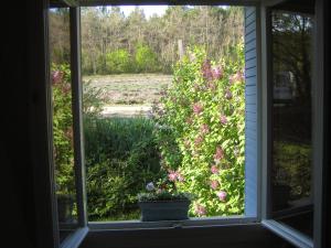 Maisons de vacances les theolats : photos des chambres