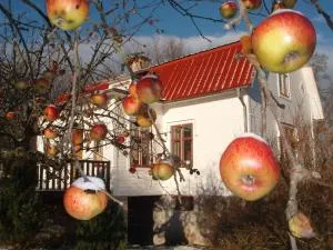 Mellangården i Äpplerum - Borgholm