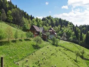 Appartement Grundhof Stegen Deutschland