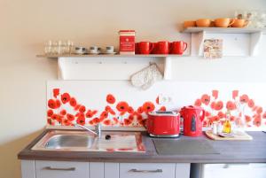 Apartment House Timisoara