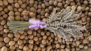 Noz Por Cá... Turismo Em Espaco Rural - Codeçal