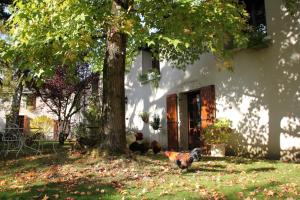 B&B / Chambres d'hotes Le Relais de la Tour : photos des chambres