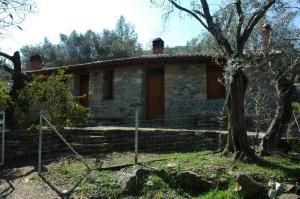Gera's Olive Grove - Elaionas tis Geras Lesvos Greece