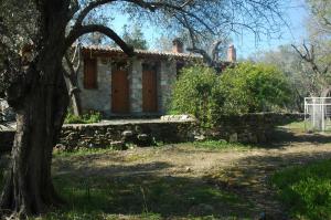 Gera's Olive Grove - Elaionas tis Geras Lesvos Greece