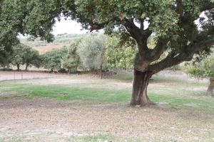 Agriturismo Su Recreu img44