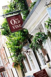 The Old Vine