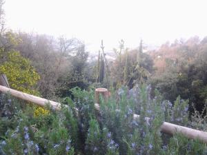 Bed and breakfast Al posto bello