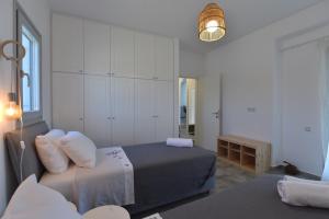 Villa Theros Paros Greece