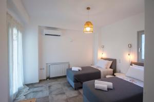 Villa Theros Paros Greece