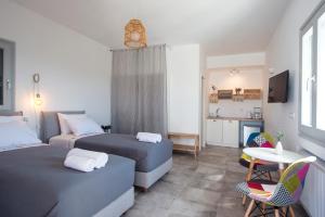 Villa Theros Paros Greece
