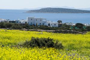 Villa Theros Paros Greece