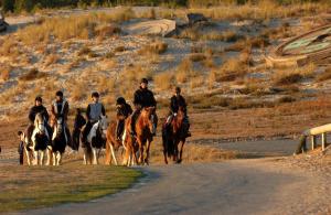 Appartements Studio Dunes aux Ecureuils : photos des chambres