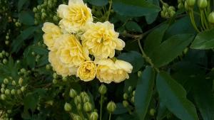 B&B / Chambres d'hotes Villa Chrisama FLAYOSC : photos des chambres