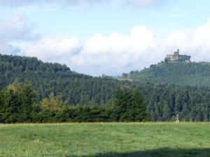 Chalets Cozy Chalet in Dabo with Terrace : photos des chambres