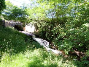 Maisons de vacances Charming Cottage in Ladignac le Long with Garden : photos des chambres