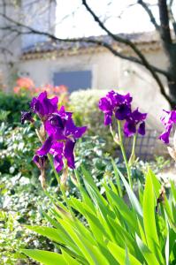 Hotels Les Mazets de Marie de Jules : photos des chambres