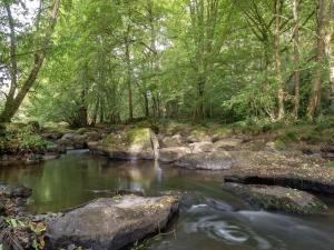 Maisons de vacances Holiday home with pretty terrace and garden, near the Paimpont forest : photos des chambres