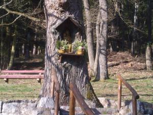 Appartements Au Bon Logis : photos des chambres