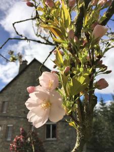 B&B / Chambres d'hotes Les voisins de l'illet : photos des chambres