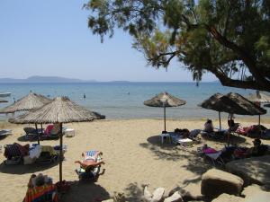 Lemon Tree Cottage Messinia Greece