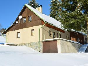 Cabană Holiday home Jahoda2 V&iacute;tkovice Cehia