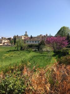 Maisons de vacances La Calade : photos des chambres